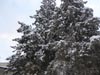 Previous picture :: Wallpaper - Quetta Snowfall January 2012 (6) - 4608 x 3456